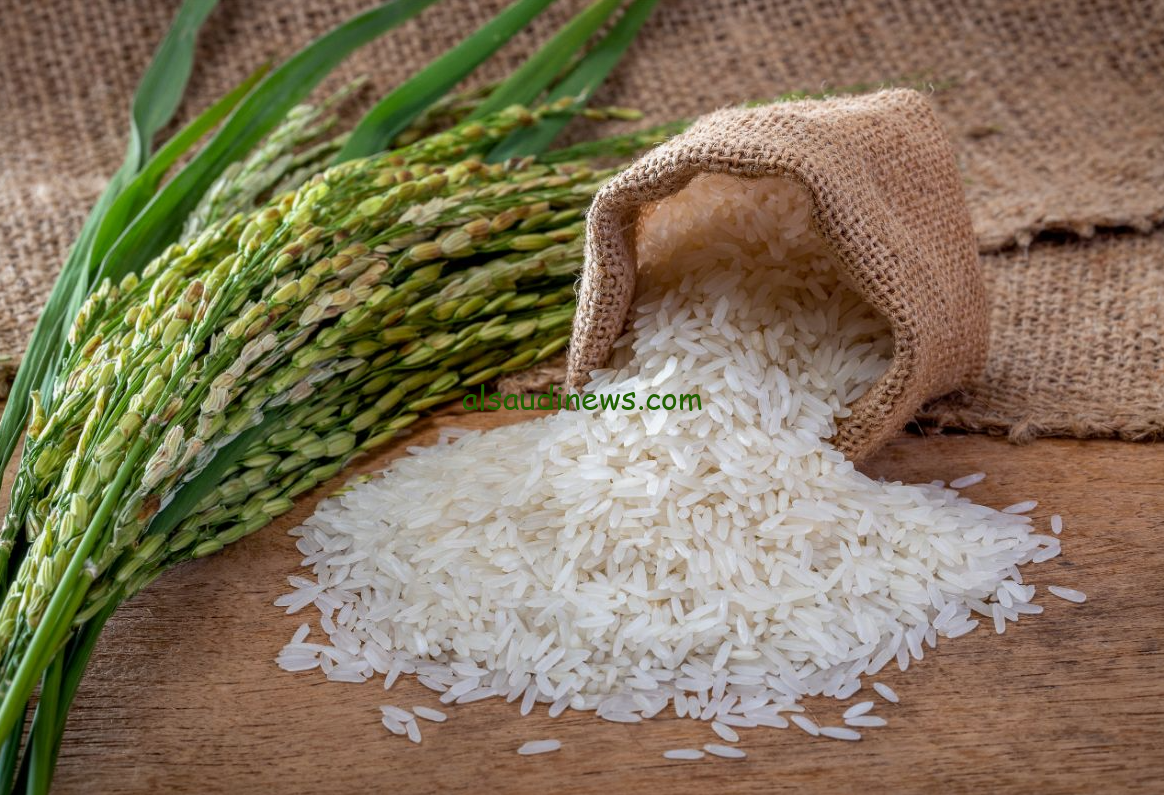 السعر انخفض.. سعر طن الأرز الشعير اليوم السبت الموافق 27 يوليو 2024