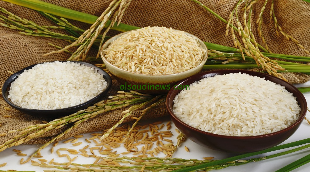 ” الاردب بكام “سعر طن الأرز الشعير اليوم الأربعاء 31 يوليو 2024 في جميع الأسواق المصرية