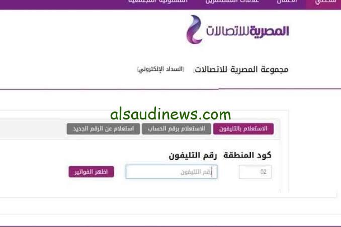 billing.te.eg.. رابط الاستعلام عن فاتورة التليفون الأرضي لشهر يوليو 2024 قبل تحويل الخدمة للاستقبال فقط وقطع الانترنت