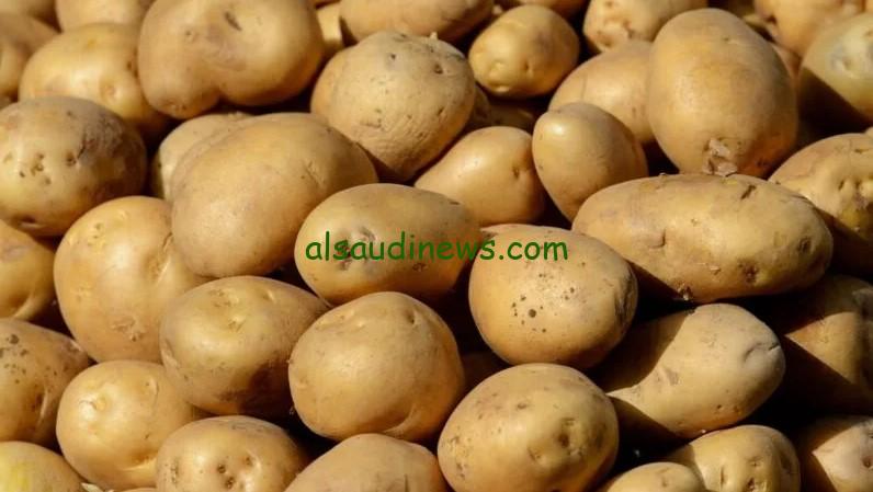 هتنزل إمتي.. الوزير الجديد يكشف موعد إنخفاض أسعار البطاطس في الأسواق المصرية بعد وصولها 30ج