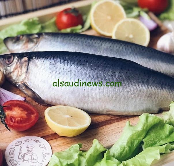 البلطي بكام.. أسعار السمك اليوم الاثنين 29 يوليو 2024 في الأسواق