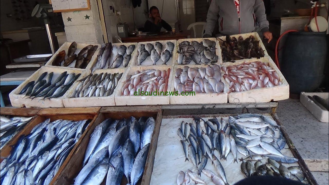 الكيلو بكام.. أسعار السمك اليوم السبت 27 يوليو 2024 للمستهلك النهائي