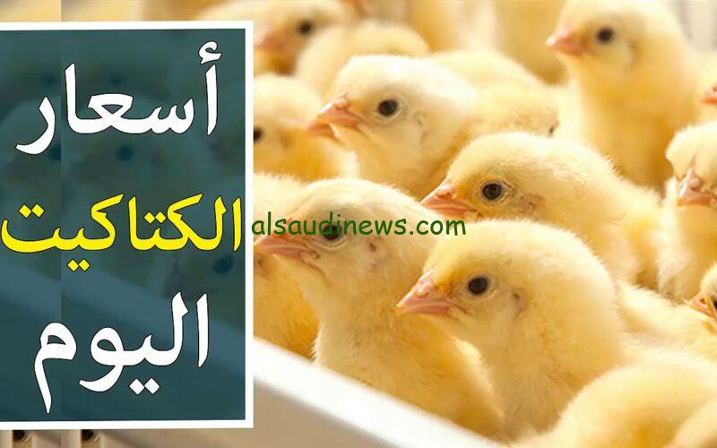 ” الكتكوته بكام ” اسعار الفراخ البيضاء والكتاكيت اليوم الاثنين 15 يوليو 2024 في بورصة الدواجن