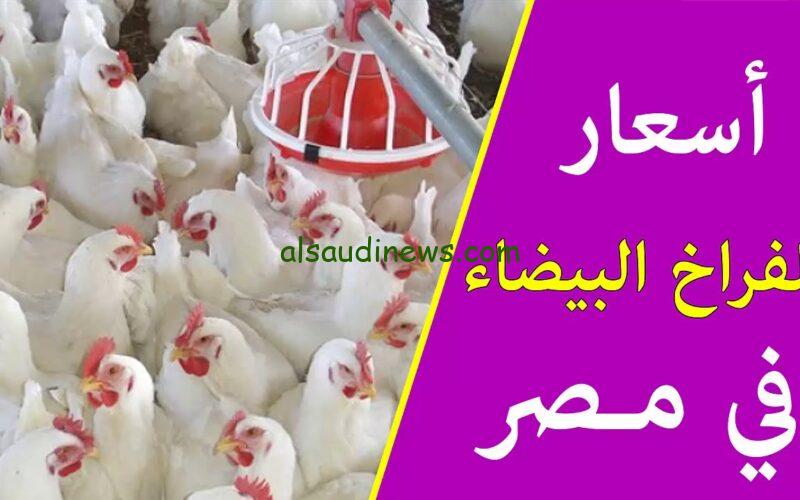 بورصة الدواجن .. اسعار الفراخ والكتاكيت اليوم الاحد 21 يوليو 2024 للمستهلك في جميع الاسواق
