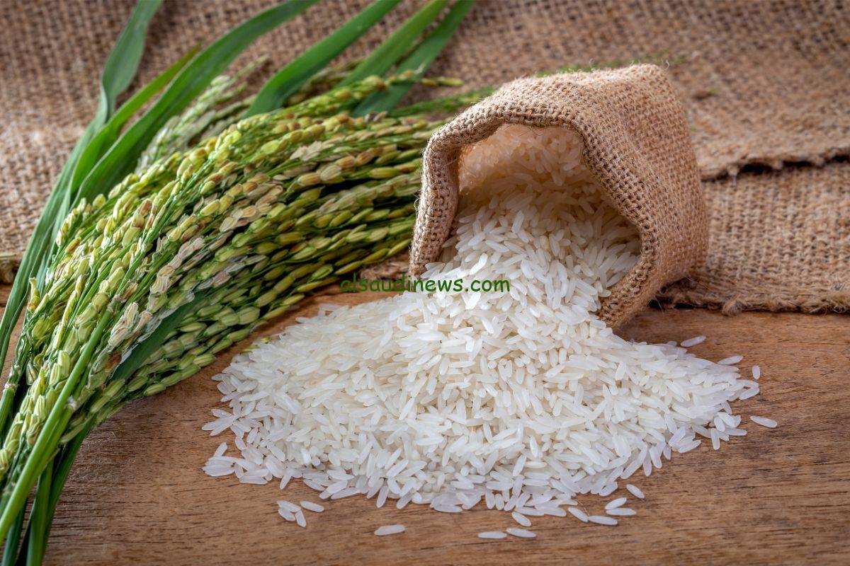 بكام الاردب؟؟.. سعر طن الأرز الشعير اليوم الخميس 29 أغسطس 2024 في الأسواق