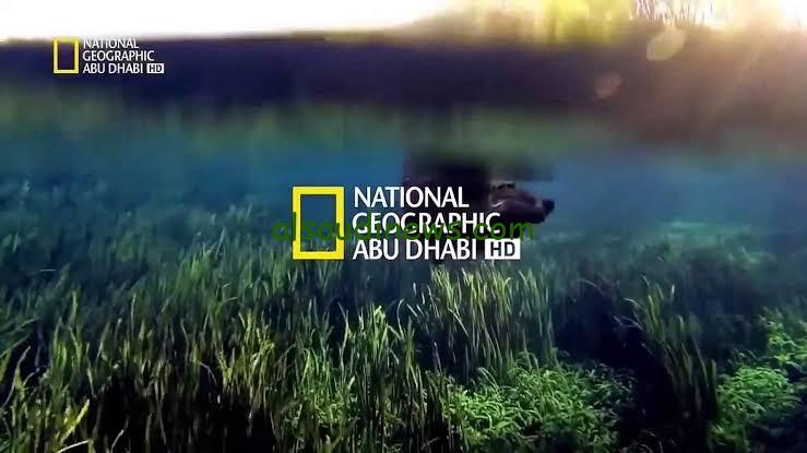 National Geographic.. تردد قناة ناشيونال جيوغرافيك ابو ظبي الجديد على النايل سات لمتابعة مغامرات وافلام وثائقية