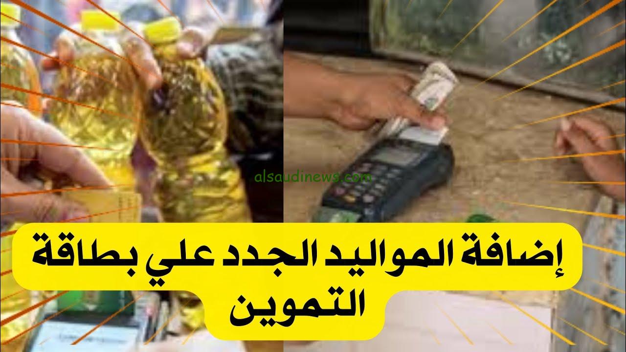 هتزيد واحد.. رابط إضافة المواليد الجدد علي بطاقة التموين 2024 والفئات المستحقة للتقديم