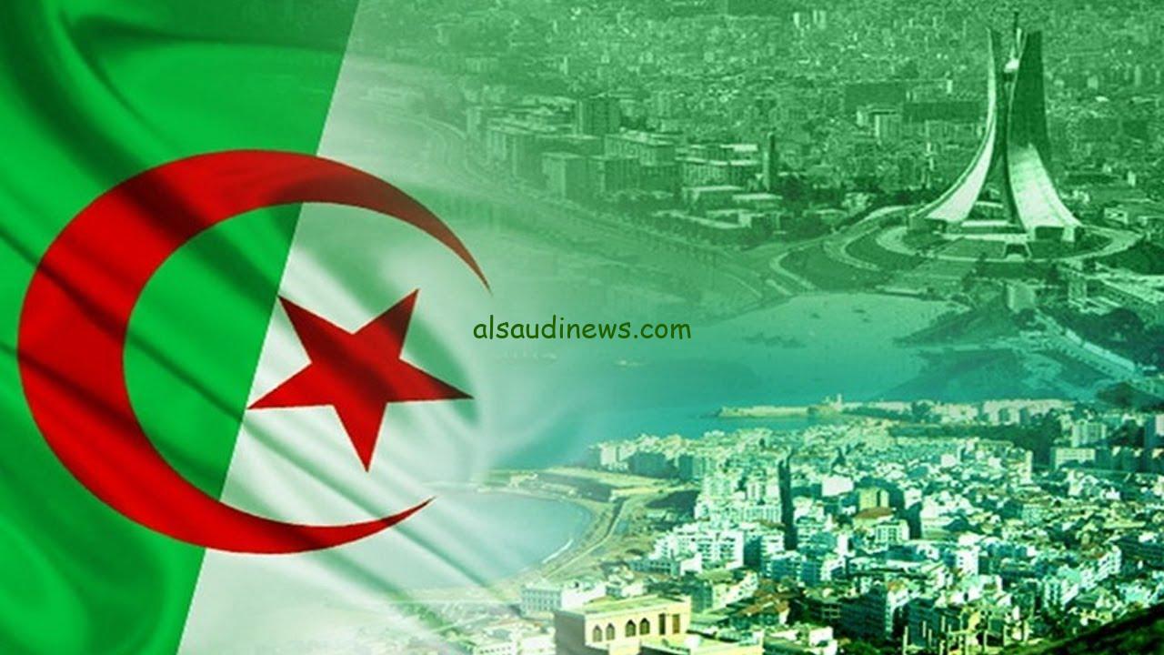 الموقع الرسمي .. رابط التسجيلات الجامعية في الجزائر 2024 الخاص بوزارة التعليم العالي