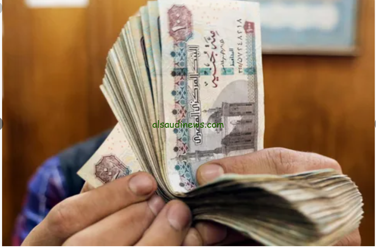 مواعيد صرف زيادة المعاشات 2024 وكيفية الاستعلام عنها عبر موقع التأمينات الاجتماعية