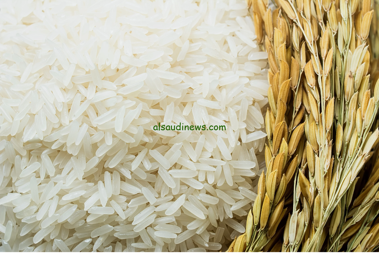 ياتري بكام انهاردة؟ سعر طن الأرز الشعير اليوم الأربعاء 24 يوليو 2024 في الأسواق