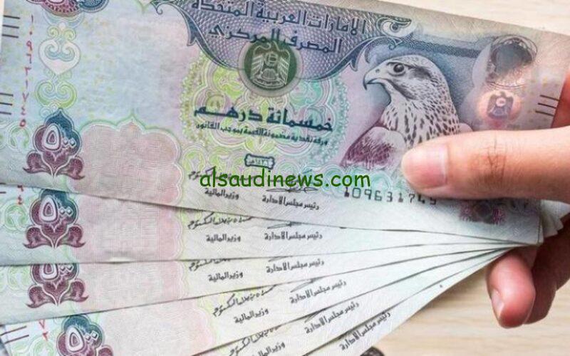 شوف وصل كام.. سعر الدرهم الاماراتي اليوم مقابل الجنية المصري الأربعاء 17 يوليو 2024