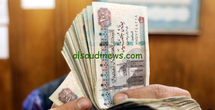 عائد خرافي 30 % .. شهادات بنك مصر الجديدة 2024 ذات المعدل الثابت والمتغير