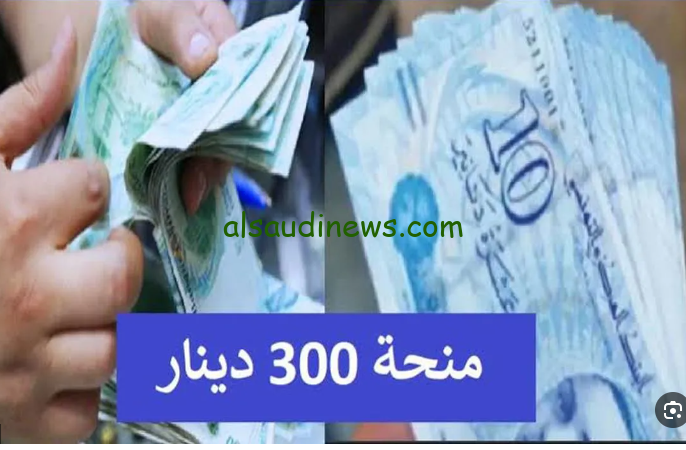 مفتوح social.gov.tn .. رابط التسجيل في منحة 300 دينار تونسي 2024 عبر موقع الشئون الاجتماعية التونسية