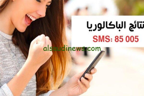 رابط شغال education.gov.tn .. نتائج البكالوريا 2024 في تونس من خلال الموقع او رسالة (SMS)