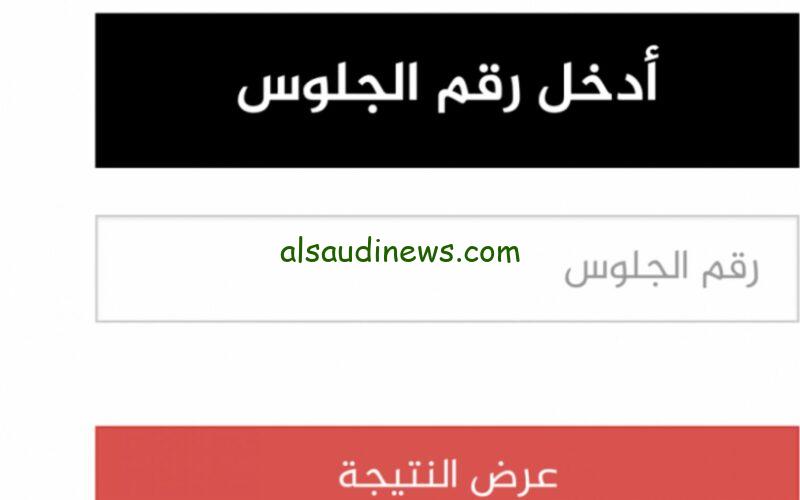 بشكل رسمي.. موعد إعلان نتيجة الثانوية العامة 2024 علمي وأدبي وكيفية الإستعلام عنها