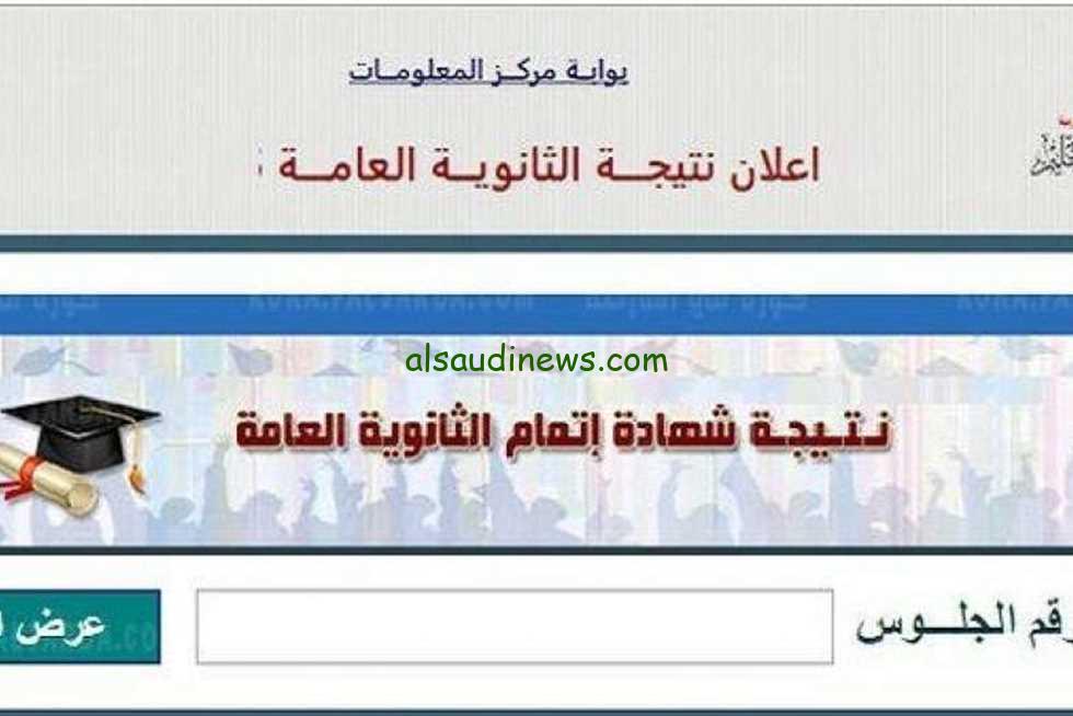 اسماء الاوائل .. بوابة فيتو رابط نتيجة الثانوية العامة 2024 بالاسم ورقم الجلوس موقع اليوم السابع natega.youm7.com