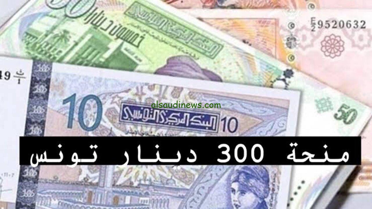 لينك التسجيل في منحة 300 دينار تونس 2024 social.gov.tn وما هي الأوراق اللازمة