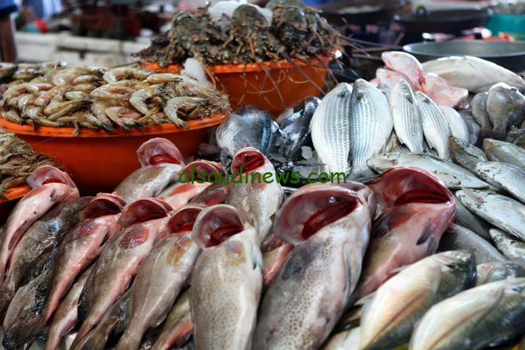 تراجع كبير في أسعار السمك اليوم البلطي والبوري في الأسواق المصرية