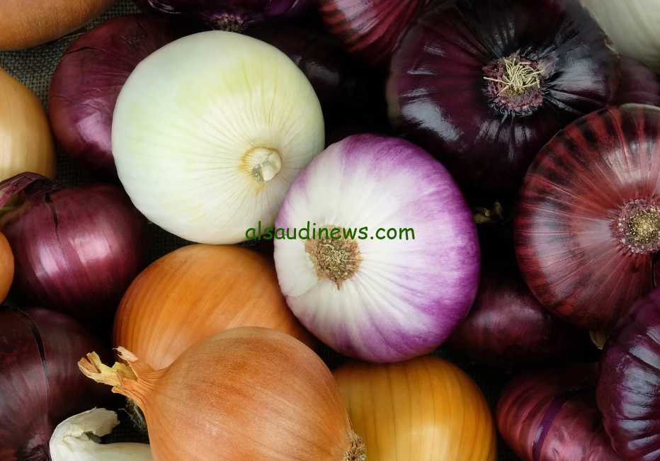 الأخضر والاحمر.. سعر البصل اليوم الاثنين 26/8/2025 في جميع الأسواق المصرية