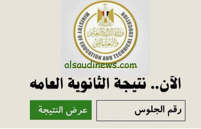 تحميل ملف النتائج pdf ” ترتيبك كام ؟ ” نتيجة الثانوية العامة 2024 بالاسم فقط عبر موقع نتيجتك www.natigatk.com