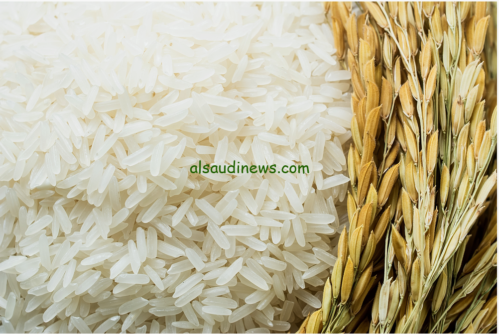الحبة الرفيعة بكام؟… سعر طن الأرز الشعير اليوم الأربعاء 28 أغسطس 2024 بالأسواق