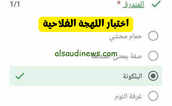 انت فلاح كبير … اسئلة اختبار اللهجة الفلاحي 2024 وجميع معاني الكلمات docs google com
