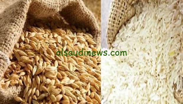 “كم سعر الارز الشعير الطن؟” سعر طن الأرز الشعير اليوم الاحد 1 سبتمبر 2024 في جميع الأسواق المحلية
