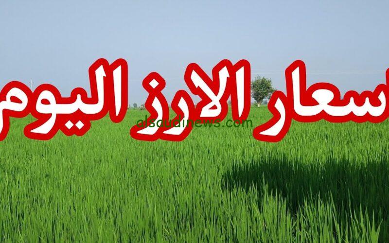 إلحق خزن قبل ما يغلي.. أسعار الأرز الشعير اليوم الخميس 15 أغسطس 2024 في الأسواق