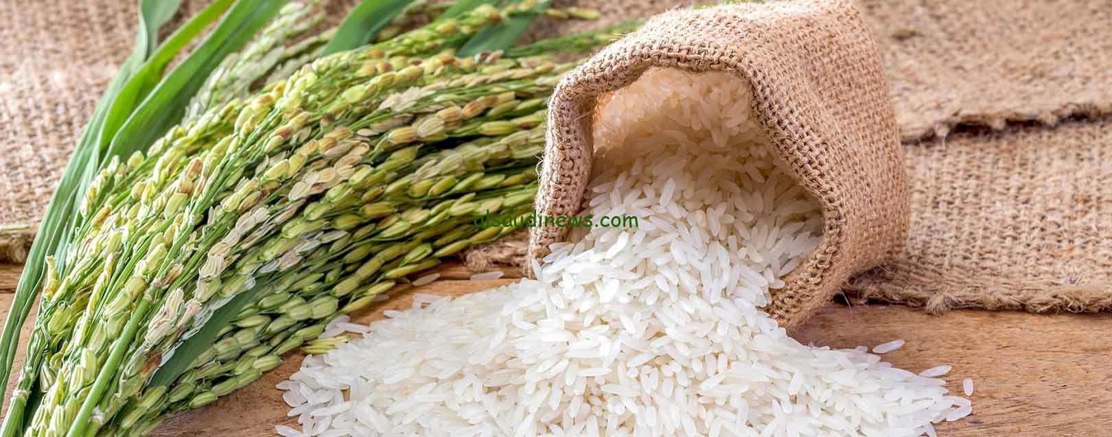 عريض ورفيع يُعلن استقرار .. سعر طن الأرز الشعير اليوم الاحد 4 أغسطس 2024 للتاجر والمُستهلك