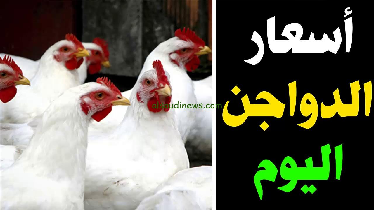 الساسو بـ 99 جنيه… أسعار الدواجن اليوم الخميس 1 أغسطس 2024 في بورصة الدواجن