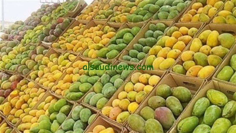 الناعومي بكام.. أسعار المانجو اليوم الأثنين 26 أغسطس 2024 في الأسواق