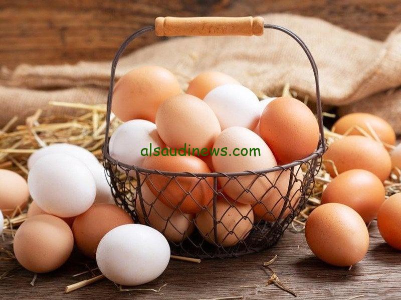 فى البورصة بكام؟ .. سعر كرتونة البيض الابيض اليوم 31 اغسطس 2024 للمستهلك واسعار الفراخ البيضاء