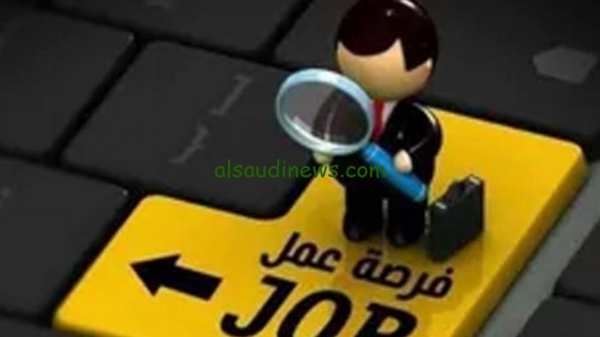 هتسافر بتاشيره رسميه .. الأوراق المطلوبة للعمل في وظائف البوسنة والهرسك التابعة لوزارة العمل