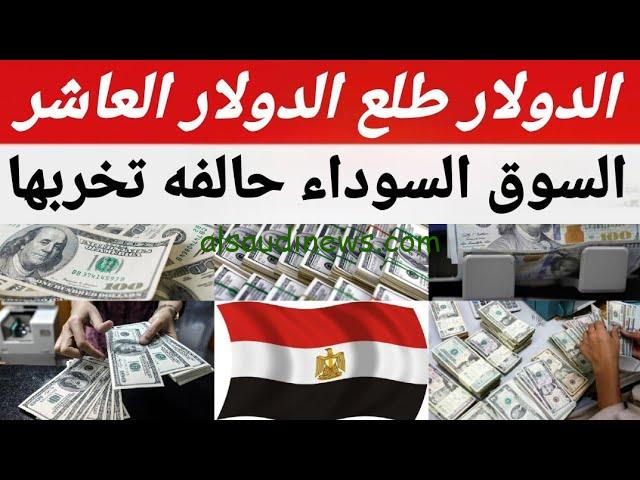 “وصل دلوقتي 50ج!!” سعر الدولار مصر في السوق السوداء اليوم السبت 31 اغسطس 2024 دولار بنك مصر