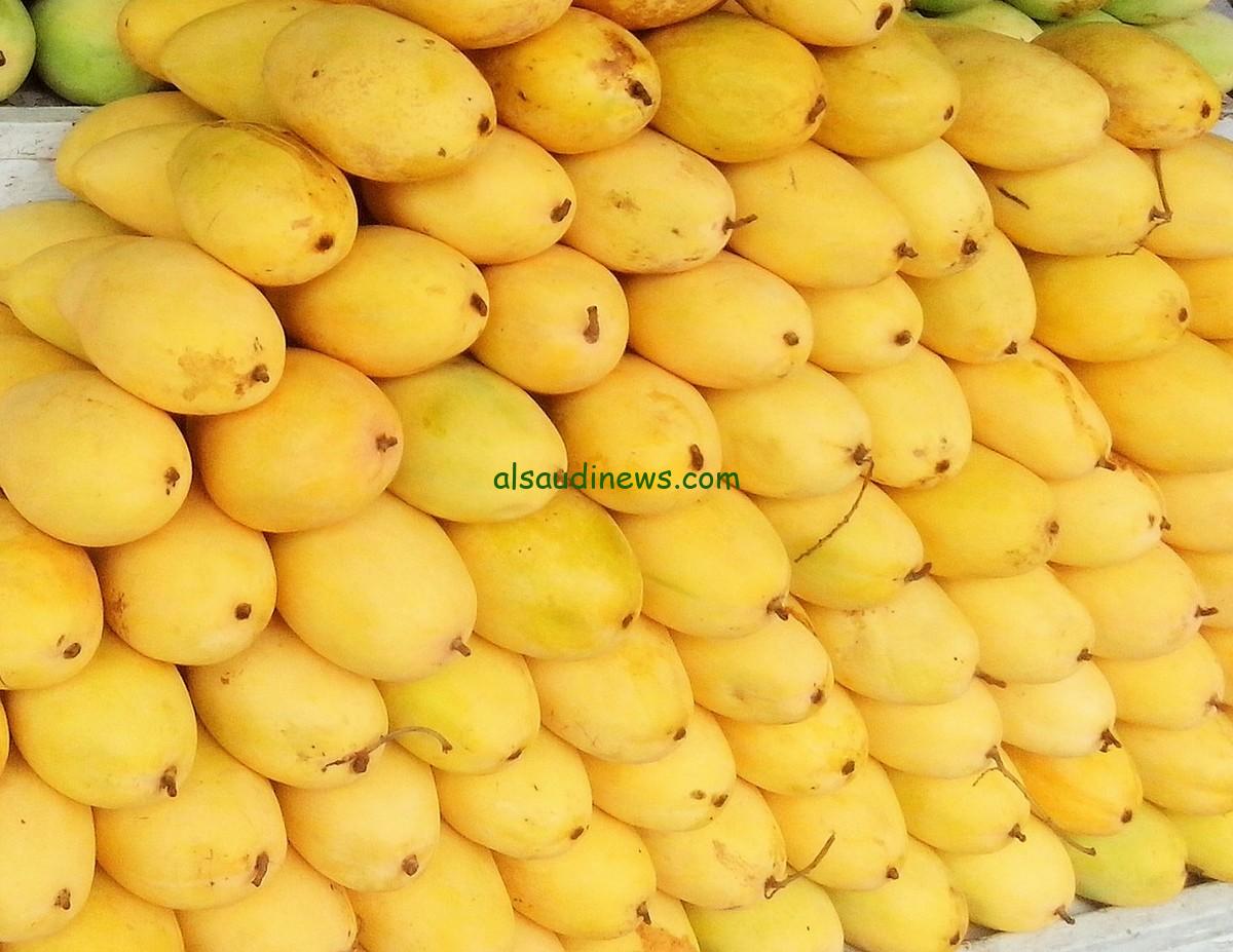 العويس بكام.. أسعار المانجو اليوم الخميس 1 أغسطس للمستهلك النهائي