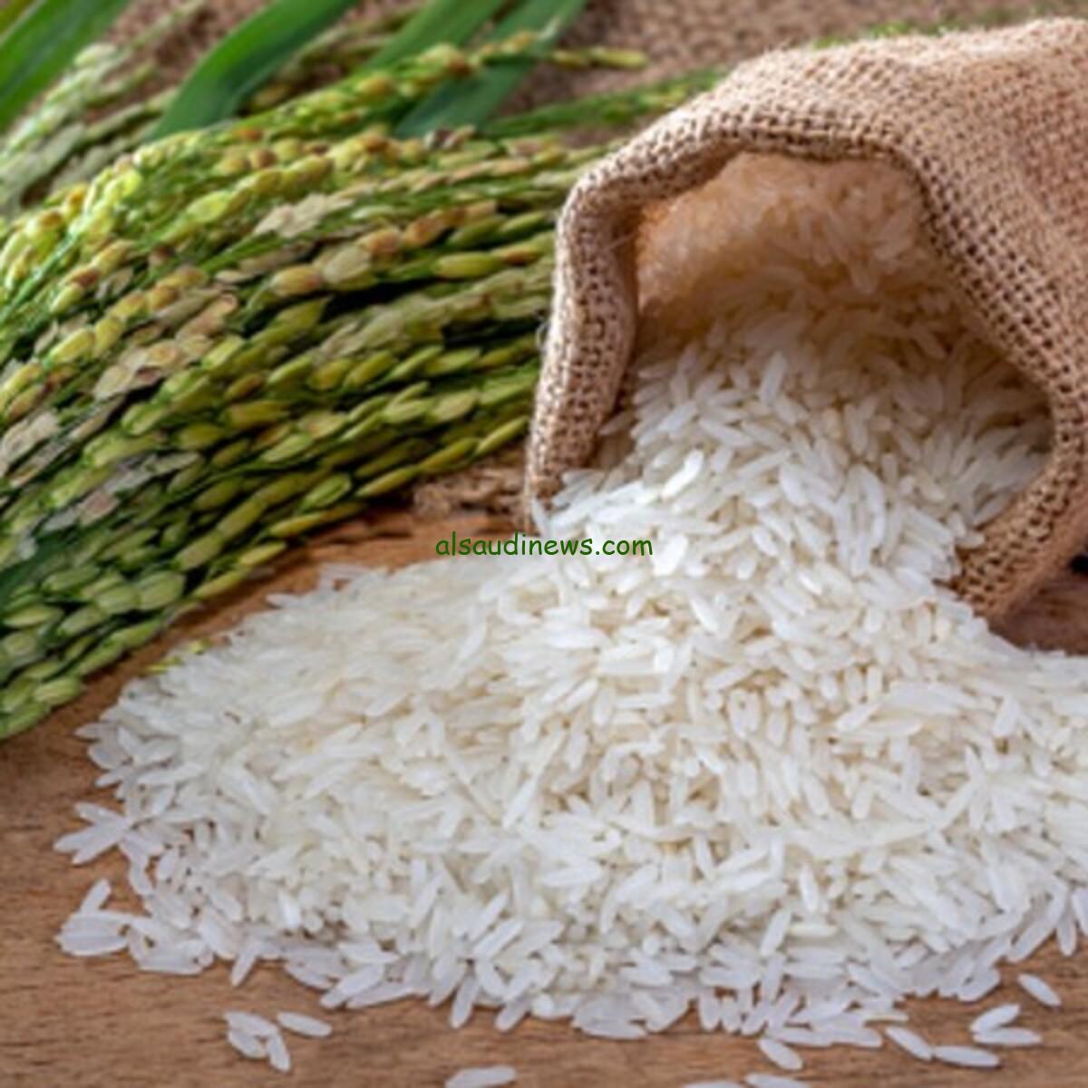 وصل كام؟ سعر طن الأرز الشعير اليوم الخميس 29 أغسطس 2024 في الأسواق لحظة بلحظة