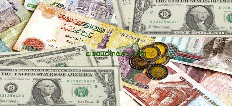 الأخضر في النااازل…. سعر الدولار اليوم الأربعاء 28 -8-2024 بالبنوك والأسواق الموازية