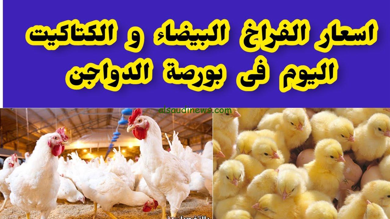 بورصة الدواجن اليوم الفراخ البيضاء الأربعاء 4 سبتمبر 2024 في المزارع والاسواق