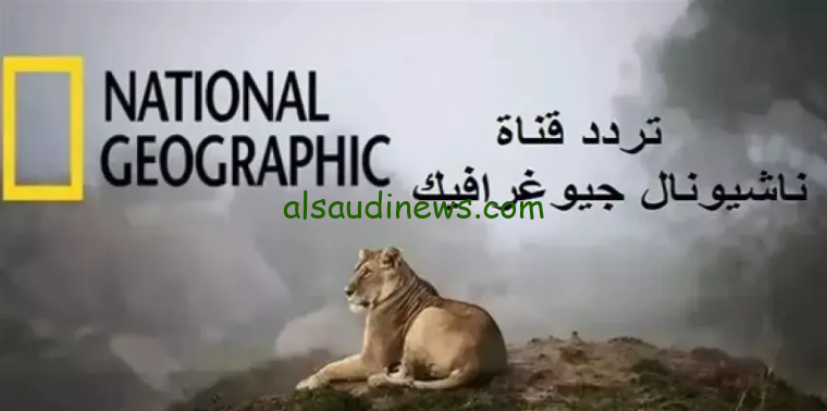 لو مهتم بعالم الحيوان نزلها عندك.. تردد قناة ناشيونال جيوغرافيك 2024 علي جميع الأقمار الصناعية