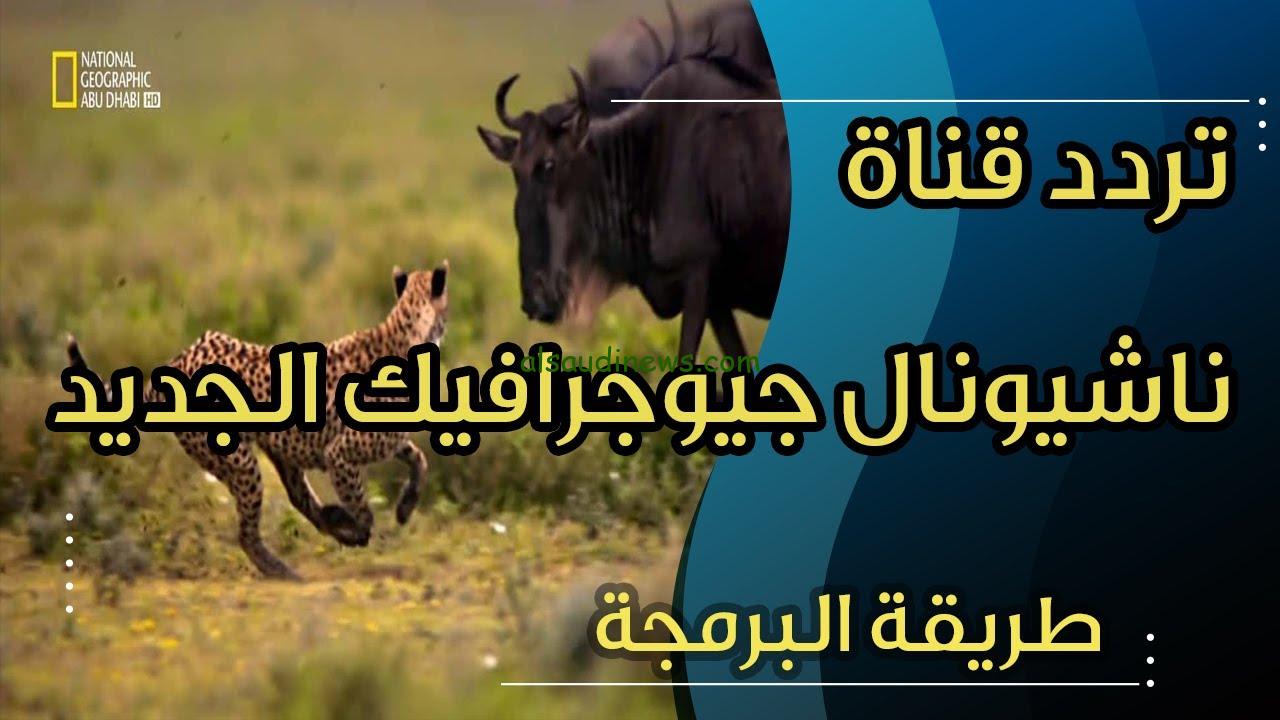 ” نايل سات ” تردد قناة ناشيونال جيوغرافيك 2024 National Geographic علي جميع الأقمار الصناعية