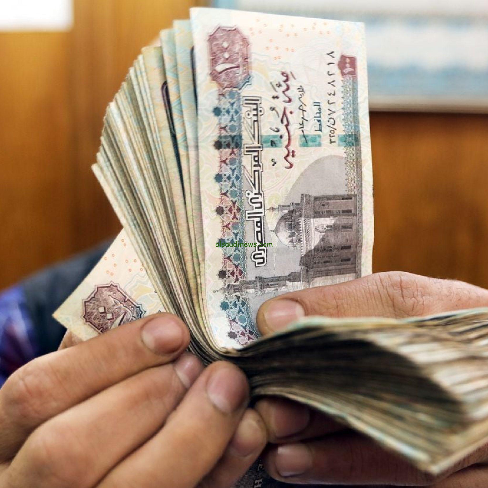 الحكومة بتفرق هدايا.. حقيقة صرف 500 جنية بمناسبة المولد النبوي للعمالة الغير منتظمة في مصر
