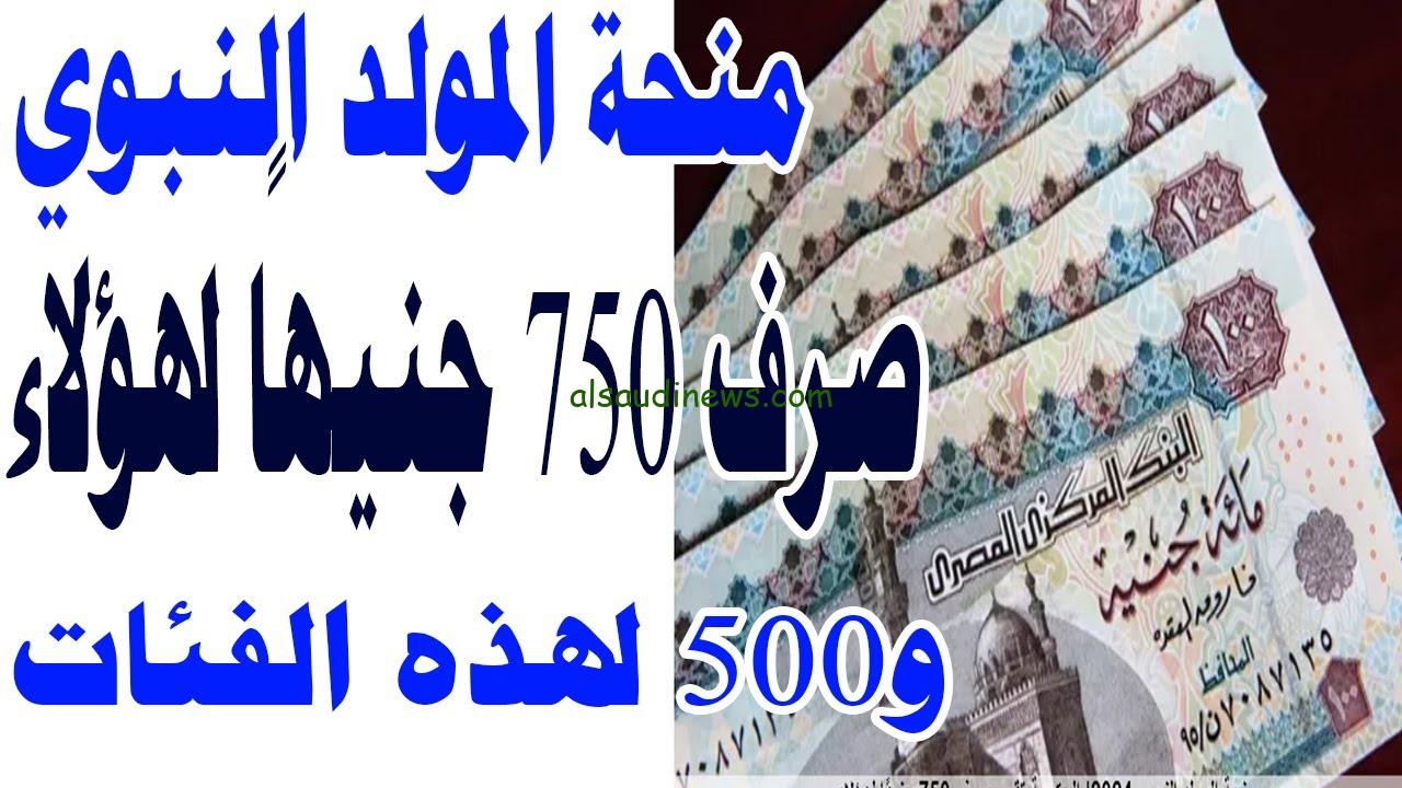 750 جنيه هتتصرف النهارده .. حقيقة صرف منحه المولد النبوي الشريف 2024 ومن هم الفئات المستحقه