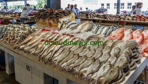 البلطي بكام ؟؟ أسعار السمك اليوم الأربعاء 28-8-2024 والجمبري في جميع الأسواق المصرية