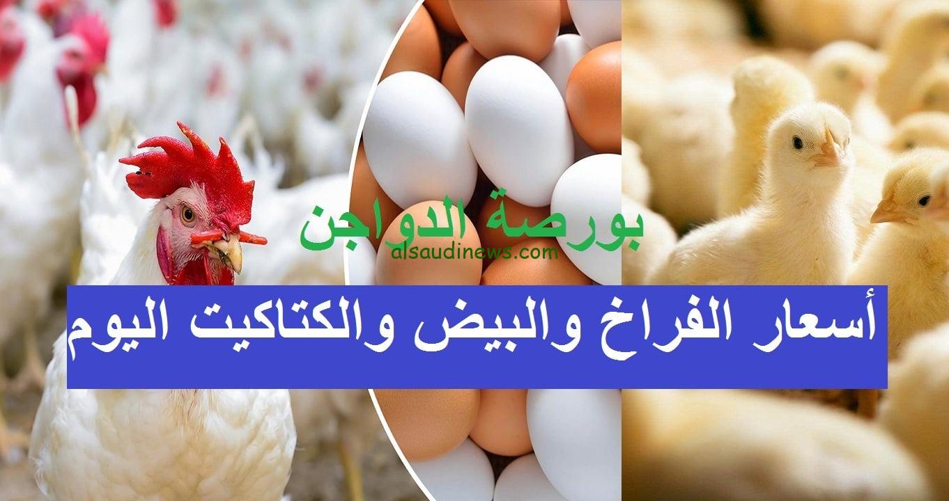 بكام فى البورصة.. سعر كرتونة البيض اليوم 21 اغسطس 2024 والفراخ البيضاء فى جميع الاسواق والمزارع