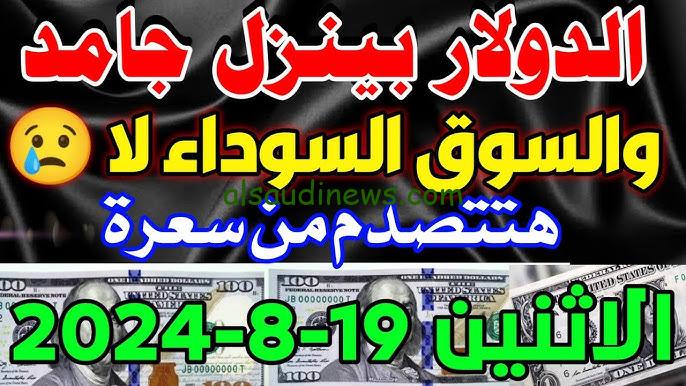 هتتصدم من سعره!!.. سعر الدولار السوق السوداء اليوم مصر لحظياً الإثنين 19 أغسطس 2024 مقابل الجنيه