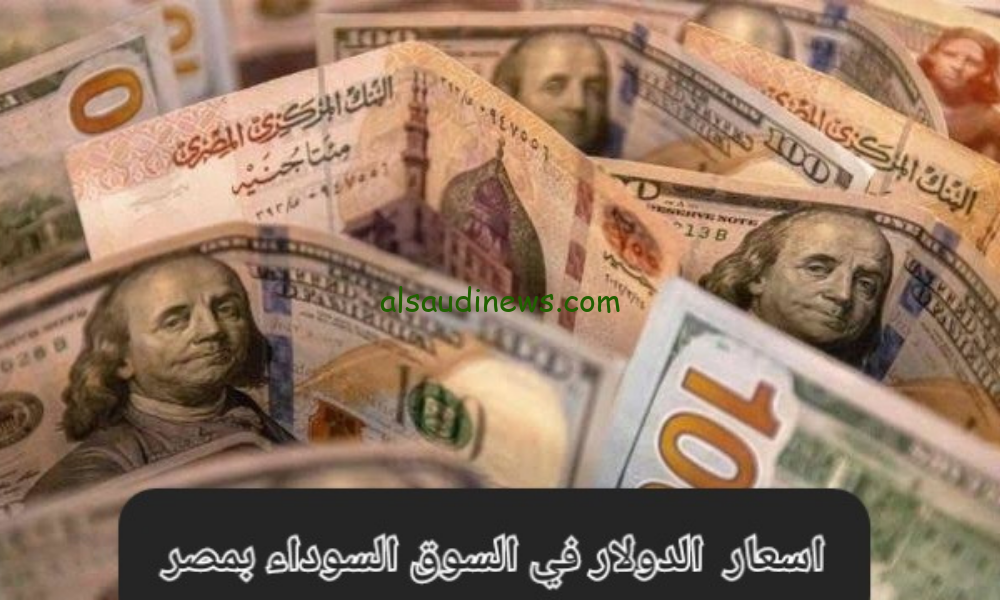 الأخضر مُستتب .. سعر الدولار في السوق السوداء اليوم الأربعاء 28 / 8 /2024 بـ48.97
