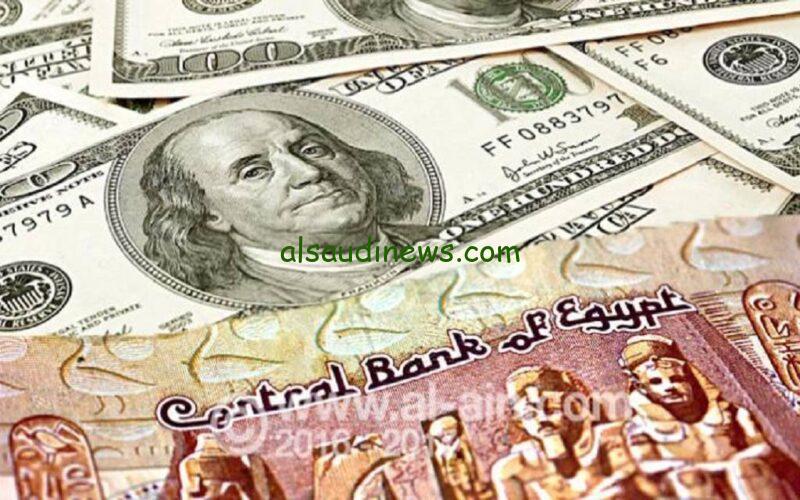 عاجل هبوط في .. سعر الدولار مقابل الجنيه المصري اليوم الأربعاء 21 أغسطس 2024 بالبنوك والسوق السوداء