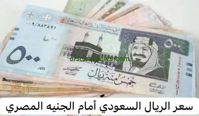1000 ريال كم يساوى مصري؟ .. سعر الريال السعودي اليوم مقابل الجنية المصري فى السوق السوداء والبنوك