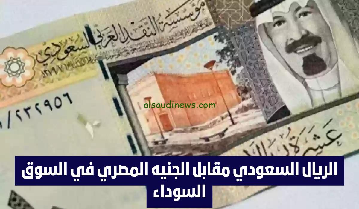 اسعار صرف السعودى كام؟.. سعر الريال السعودي مقابل الجنيه المصري في السوق السوداء اليوم 21 اغسطس 2024 وفى جميع البنوك