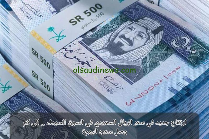 1000 ريال سعودي كم يساوي جنيه مصري؟.. سعر الريال السعودي مقابل الجنية المصري اليوم فى جميع البنوك والسوق السوداء
